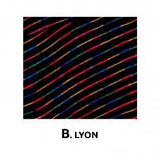 ΚΑΛΥΜΜΑΤΑ ΣΕΤ ΒΕΛΟΥΔΑ 6 ΤΜΧ - B