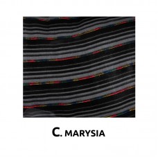 ΚΑΛΥΜΜΑΤΑ ΣΕΤ ΒΕΛΟΥΔΑ 6 ΤΜΧ - C